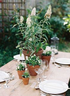 a wooden table topped with potted plants next to white plates and wineglasses