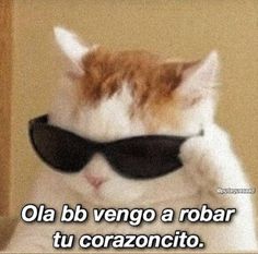 an orange and white cat with sunglasses on it's face, captioning the phrase oa bb vengo a robar tu coracio