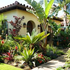 a house surrounded by lush green plants and flowers