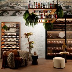 a room filled with lots of wine bottles and shelves next to a potted plant