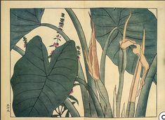 an image of a painting with leaves and flowers on it's side, in the style of japanese art