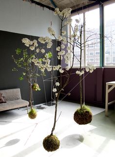 three hanging balls with flowers on them in the middle of a living room filled with furniture