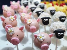 there are many cake pops decorated like sheep and sheep with flowers on their heads in the shape of sheep