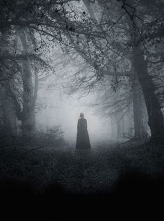 a person standing in the middle of a forest on a foggy day with trees