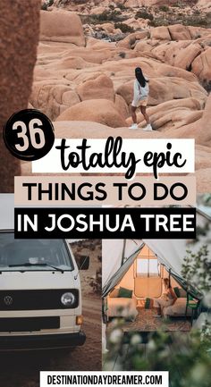 there are many things to do in joshua tree