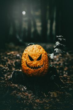 an orange carved to look like a jack - o'- lantern in the woods