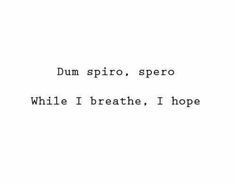 the words are written in black and white on a white background, which reads dum spiro, spero while i breathe, i hope