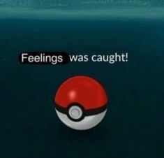 a pokemon ball with the words feelings was caught on it's side in water