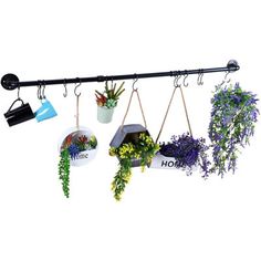 several potted plants hanging from hooks on a white wall with the word hom above them