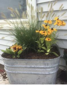 some yellow flowers are in a large metal pot on the side of a house and grass is growing out of it