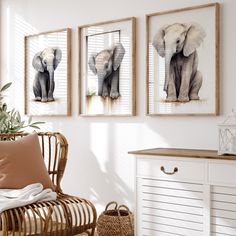 three framed pictures hang on the wall above a wicker chair in a white room