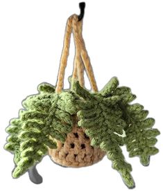 a crocheted plant hanging from a hook