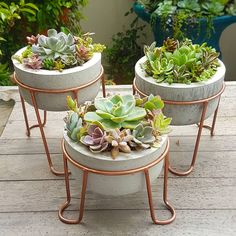 three cement planters with succulents in them sitting on a wooden table