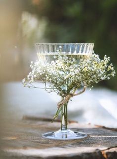 a glass filled with flowers sitting on top of a wooden table next to a tree