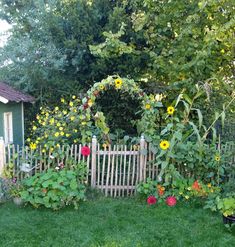 a garden with sunflowers and other flowers next to a fence in the grass