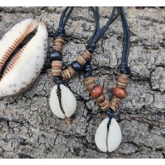 two seashells are sitting on a piece of driftwood next to a shell