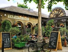 an outdoor cafe with lots of plants on the tables and people sitting in chairs outside