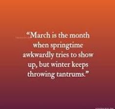 a quote on march is the month when springtime awkwardly tries to show up, but winter keeps throwing autumns