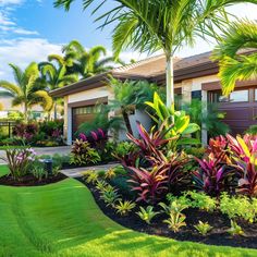 tropical landscaping with palm trees and other plants in front of a house on a sunny day