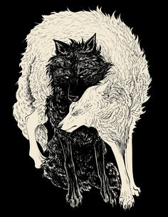 two black and white wolfs hugging each other in front of a dark background with the word