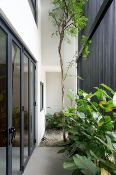 an outdoor area with potted plants and glass doors on the side of the building