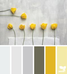 some yellow flowers are in the middle of a color palette with white and gray colors