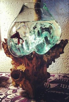 a glass fish bowl sitting on top of a piece of driftwood next to a lamp