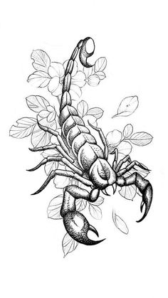 a black and white drawing of a scorpion with leaves on it's back legs