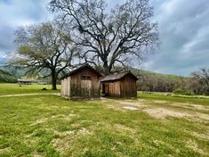 an old barn sits in the middle of a grassy field with a large tree behind it