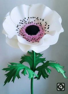 a white flower with green stems and black center in front of a gray wall background