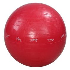 a large red exercise ball with drawings on the side and white horses drawn on it