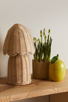 a wooden shelf topped with two vases filled with flowers and plants next to a lemon