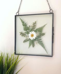 a glass frame with flowers and leaves hanging on a wall next to a potted plant