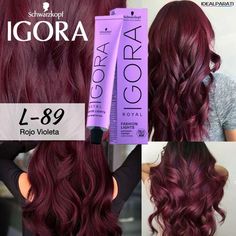 Dark Plum Brown Hair, Pelo Colorado, Plum Brown Hair, Pelo Color Borgoña, Black Cherry Hair Color, Black Cherry Hair, Red Violet Hair