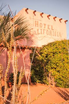 the hotel california sign in front of some bushes