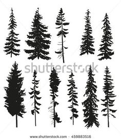 black and white pine tree silhouettes