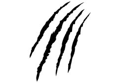 the claws of an animal that are black and white on a white background, illustration