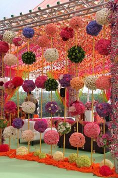 an arrangement of flowers on sticks in front of a canopy