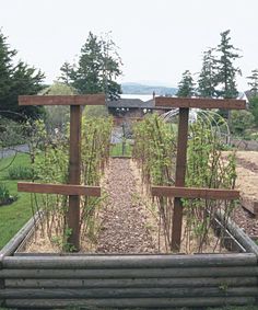 the garden is full of plants and wooden trelliss, with an open area in the middle