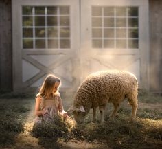 Sheep Photography, Farm Kids, Country Kids, Contemporary Portrait, A Sheep, Country Life, Animal Photography, Beautiful Photo, No. 2