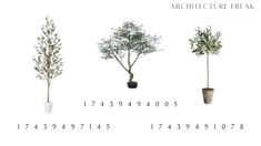 four different types of trees are shown in this graphic style, with the numbers below them