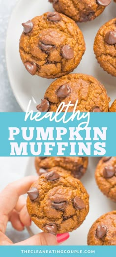 healthy pumpkin muffins with chocolate chips on top and text overlay that reads healthy pumpkin muffins