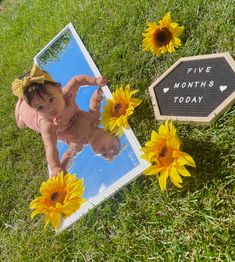 a baby laying in the grass next to sunflowers and a sign that says five months today