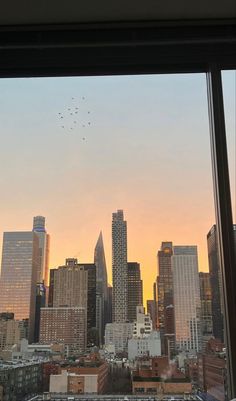 birds fly over the city skyline at sunset