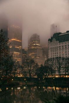 the city skyline is lit up at night, with fog in the air and trees around it