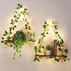 two shelves with plants and books on them, one is shaped like the letter v