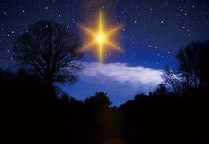 a star shining in the night sky above trees