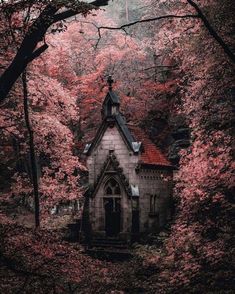 an old church surrounded by trees with red leaves on it's roof and steeple