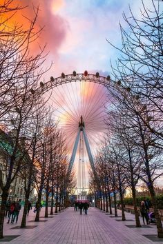 the ferris wheel is surrounded by many trees