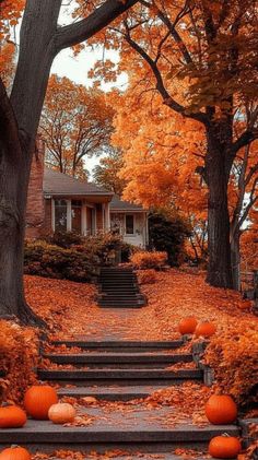 a set of steps leading up to a house with pumpkins on the ground